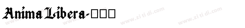 Anima Libera字体转换 Anima Libera字体转换